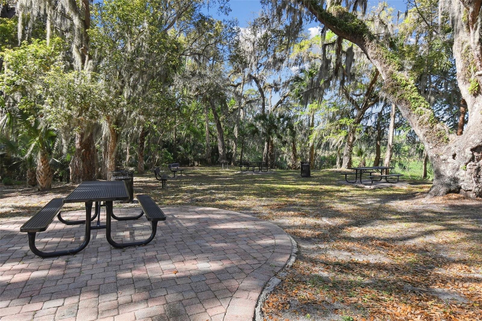 RIVIERA BELLA UN 9C - Residential