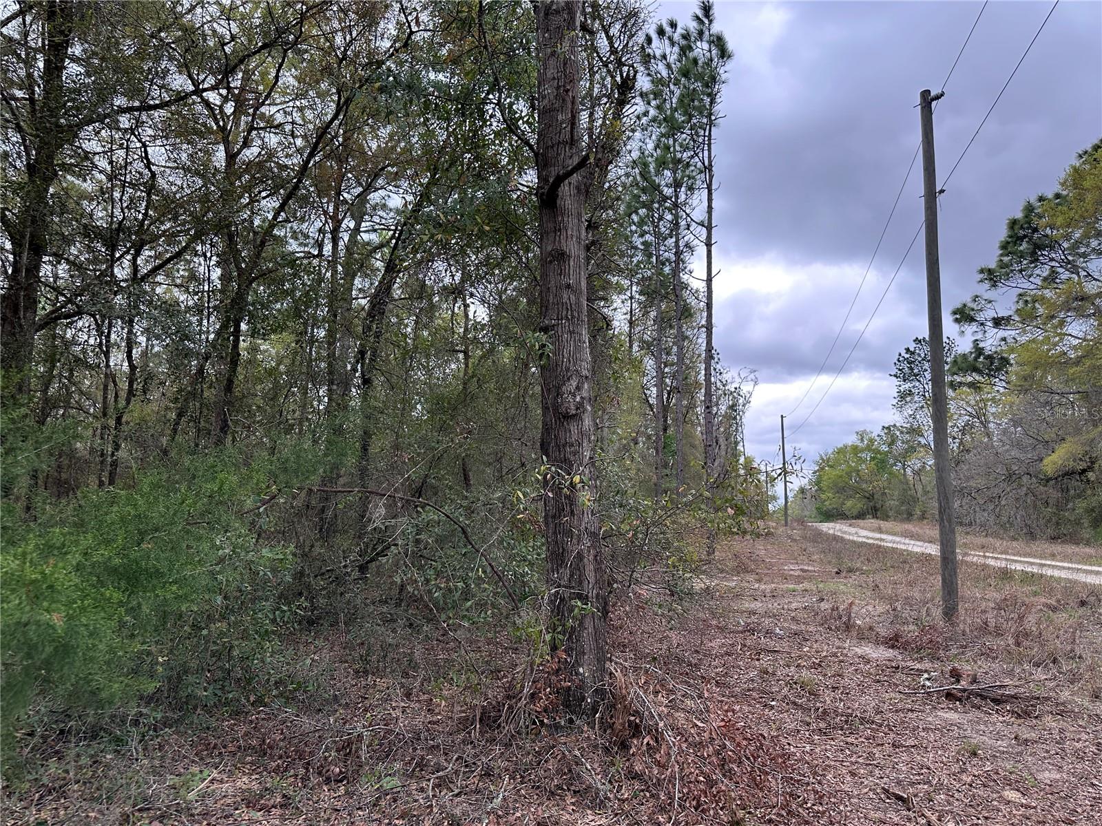 WILLISTON HIGHLANDS GOLF & COUNTRY CLUB ESTATES BUILDING LOT. Just 10 minutes to Williston and 25 minutes to Gainesville. Lot measures about 80' wide on the road and 125' deep. Located only 90' from a paved road. No HOA and no time limits to build. Zoned Agricultural/Rural Residential (A/RR) allowing for your site-built or manufactured/mobile home. Same owner has several similar size parcels in this neighborhood.