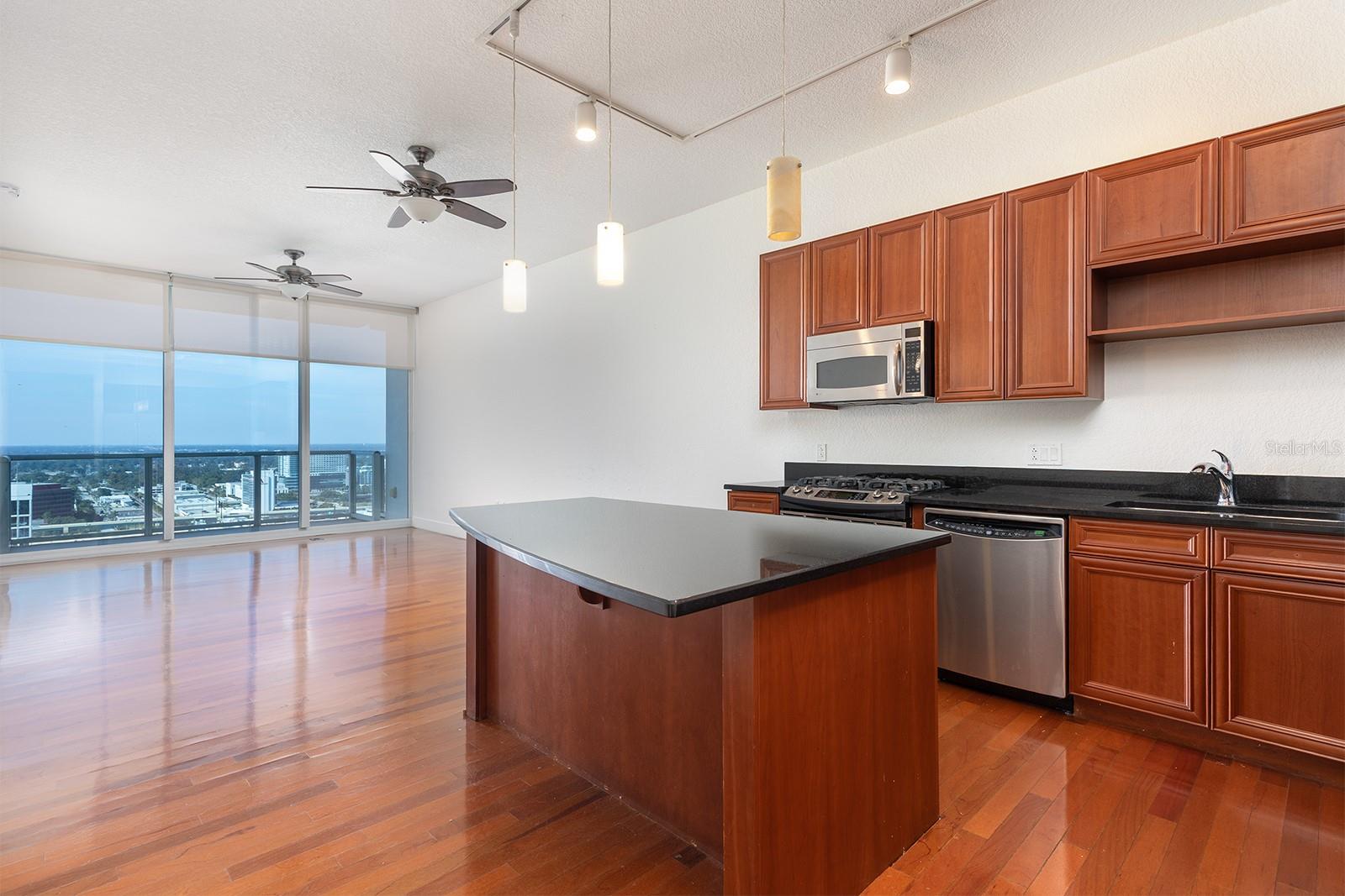 150 E ROBINSON STREET 2408