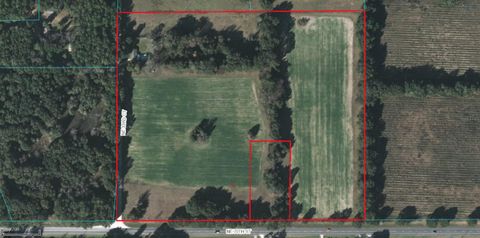 7237 NE 33rd COURT ANTHONY FL 32617