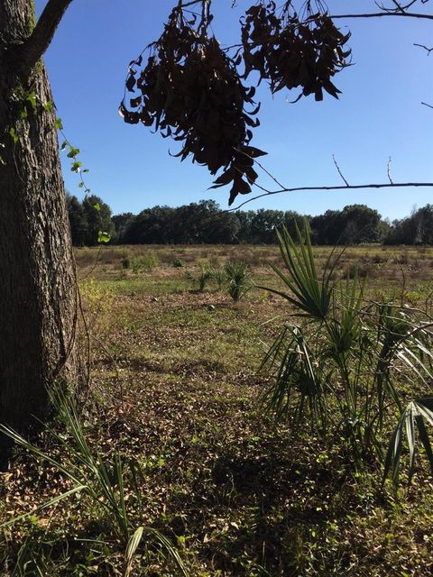 Tiny photo for 7237 NE 33rd Court, Anthony, FL 32617 (MLS # OM568683)