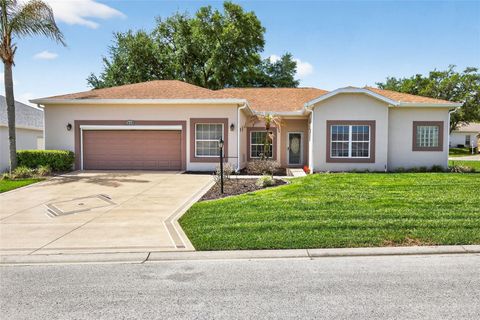 Photo of 5036 Sawgrass Lake Circle, Leesburg, FL 34748 (MLS # O6395800)