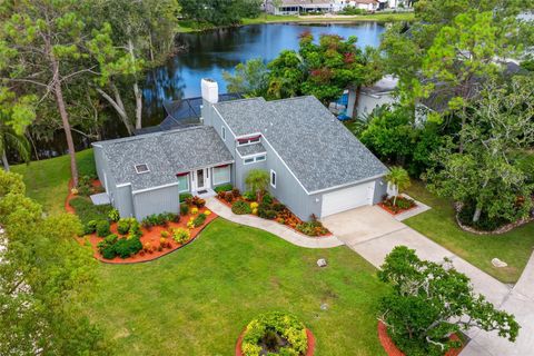 Photo of 3126 Harvest Moon Drive, Palm Harbor, FL 34683 (MLS # TB8435248)