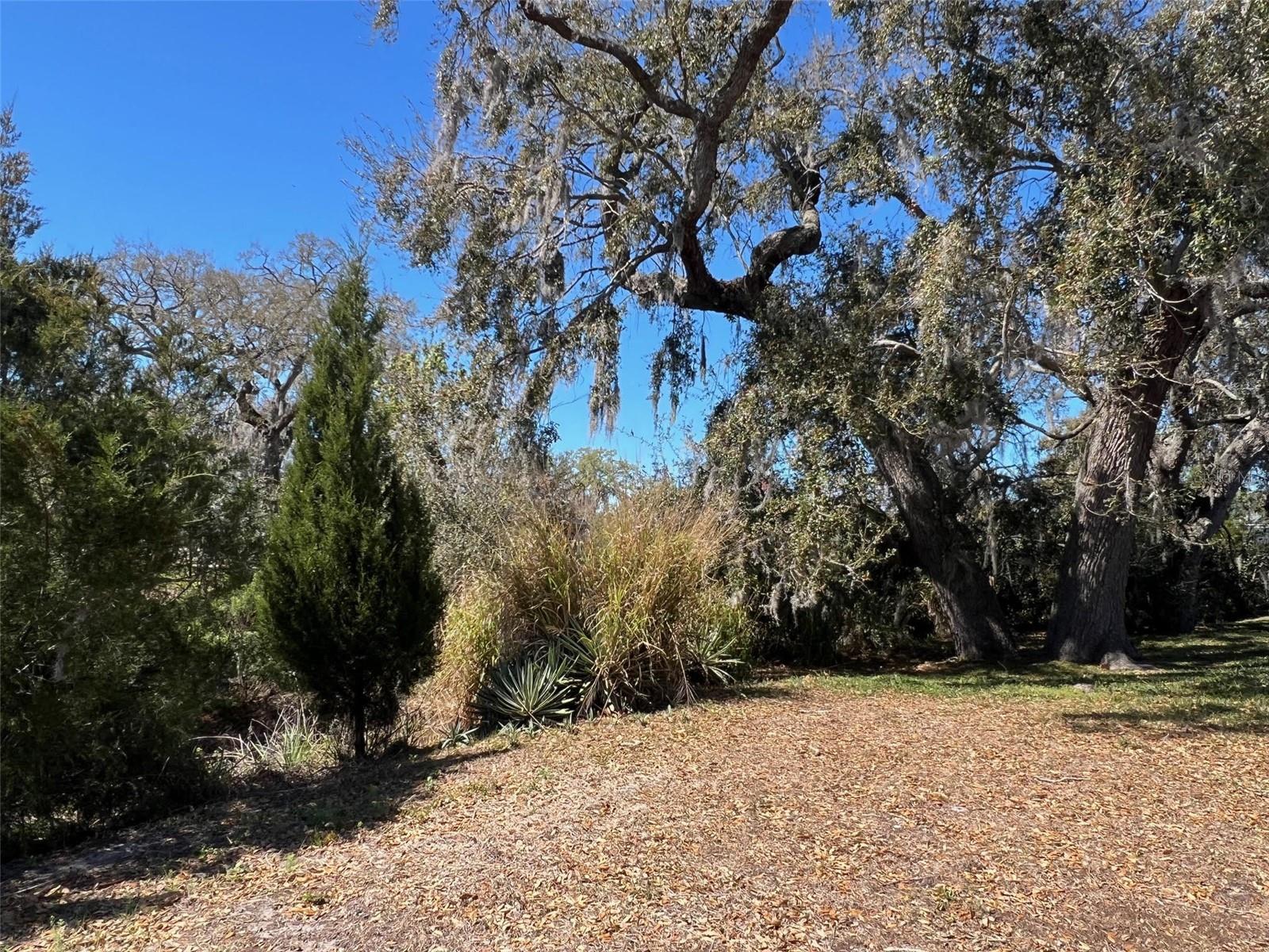 29250 US HIGHWAY 19 N 300