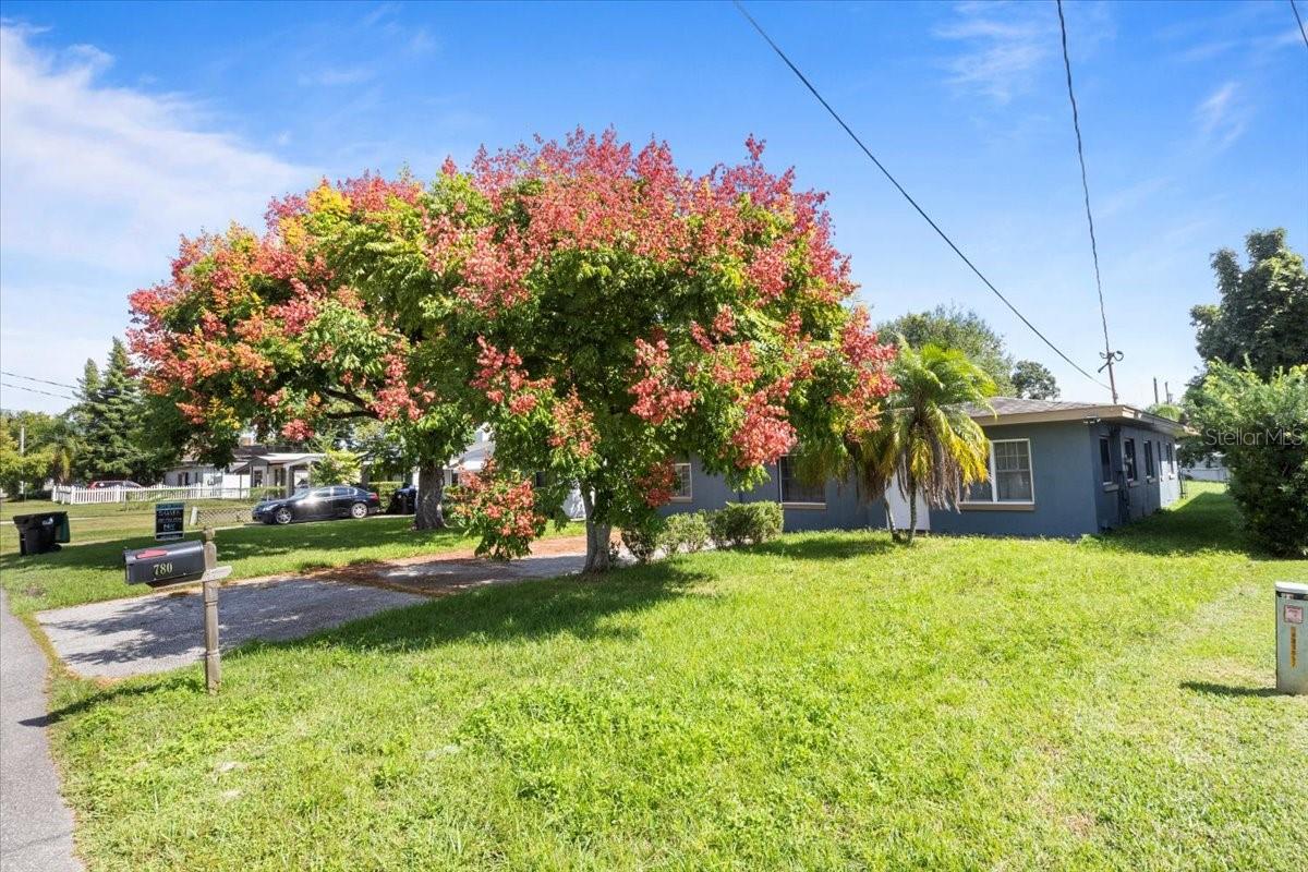 DUBSDREAD HEIGHTS - Residential