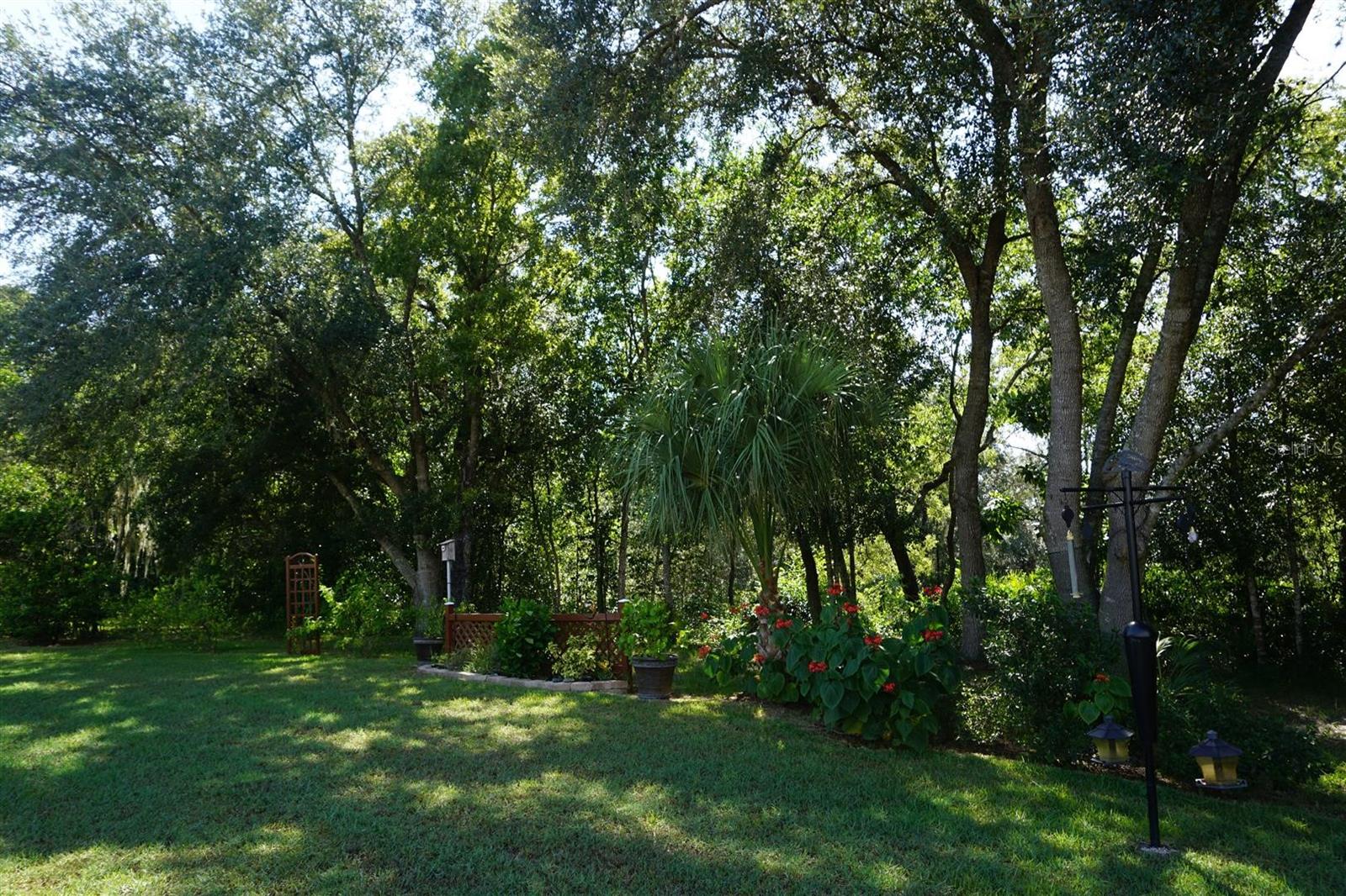 OAK RIDGE - Residential