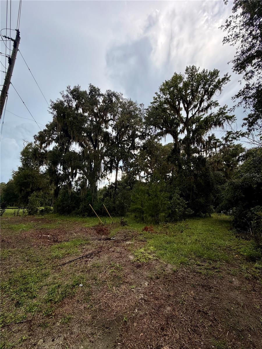 12602 SW WILLISTON ROAD