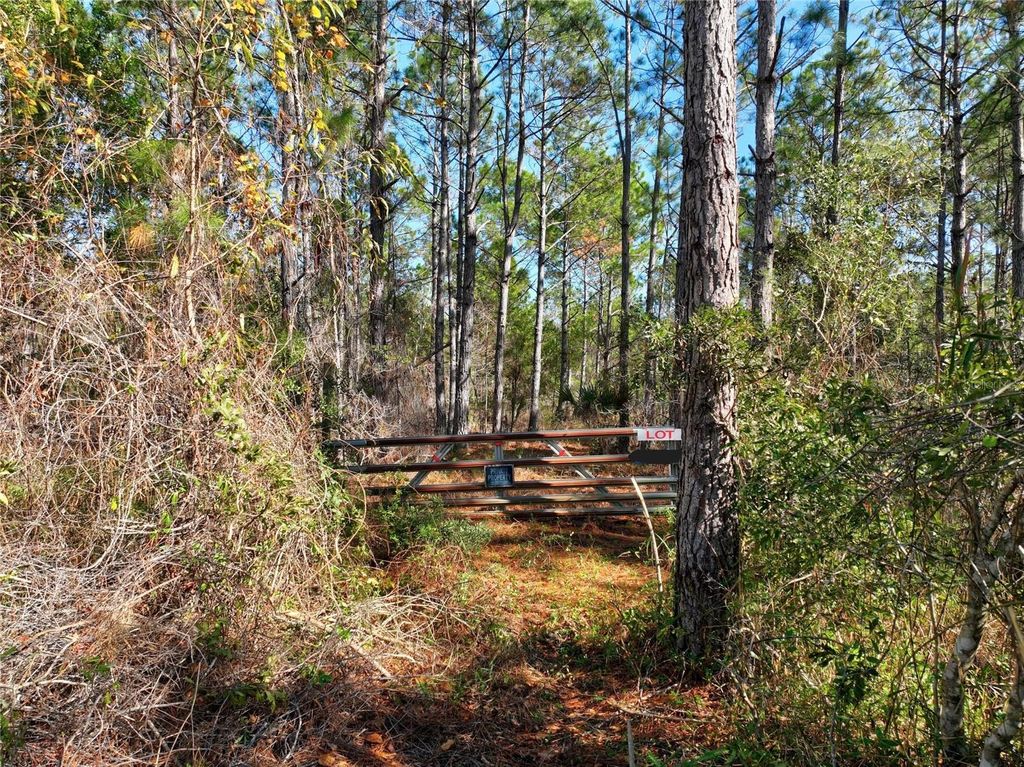 Photo of 0 Boise Lane, Ormond Beach, FL 32174 (MLS # FC314748)