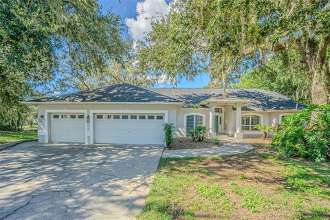 Photo of 6433 Brentwood Drive, Zephyrhills, FL 33542 (MLS # TB8379916)