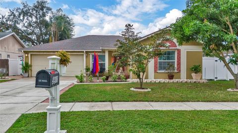 A home in TAMPA