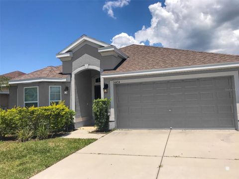 14434 SCOTTBURGH GLEN DRIVE WIMAUMA FL 33598