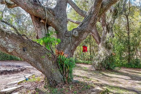 Tiny photo for 22301 Coronado Somerset Drive, Sorrento, FL 32776 (MLS # G5109304)