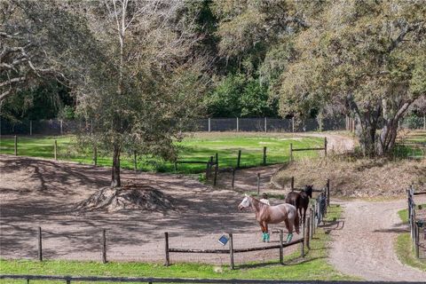 Tiny photo for 22301 Coronado Somerset Drive, Sorrento, FL 32776 (MLS # G5109304)