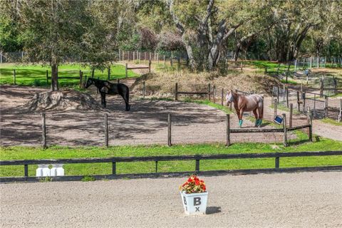 Tiny photo for 22301 Coronado Somerset Drive, Sorrento, FL 32776 (MLS # G5109304)