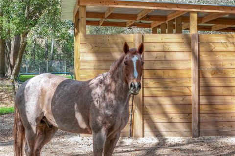 Tiny photo for 22301 Coronado Somerset Drive, Sorrento, FL 32776 (MLS # G5109304)