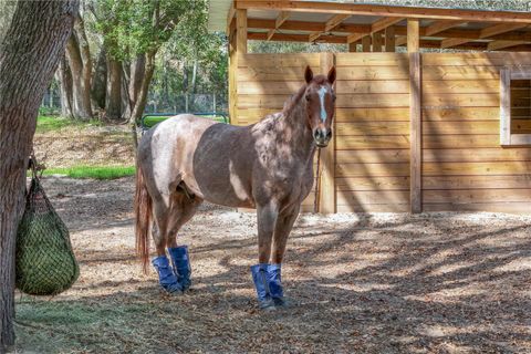 Tiny photo for 22301 Coronado Somerset Drive, Sorrento, FL 32776 (MLS # G5109304)