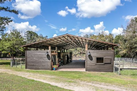 Tiny photo for 22301 Coronado Somerset Drive, Sorrento, FL 32776 (MLS # G5109304)