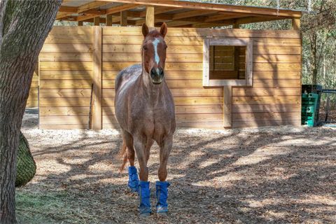 Tiny photo for 22301 Coronado Somerset Drive, Sorrento, FL 32776 (MLS # G5109304)