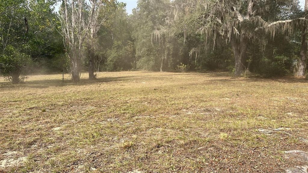 Photo of 110 Venezuela Street, Interlachen, FL 32148 (MLS # OM711112)