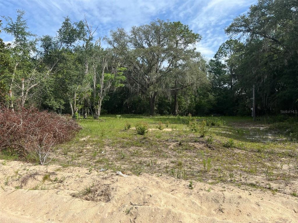 Photo of 110 Venezuela Street, Interlachen, FL 32148 (MLS # OM711112)