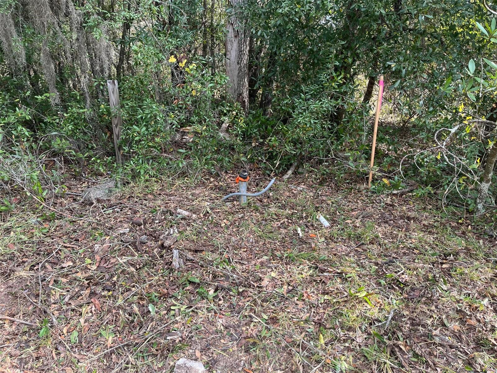 INTERLACHEN LAKES ESTATES - Land