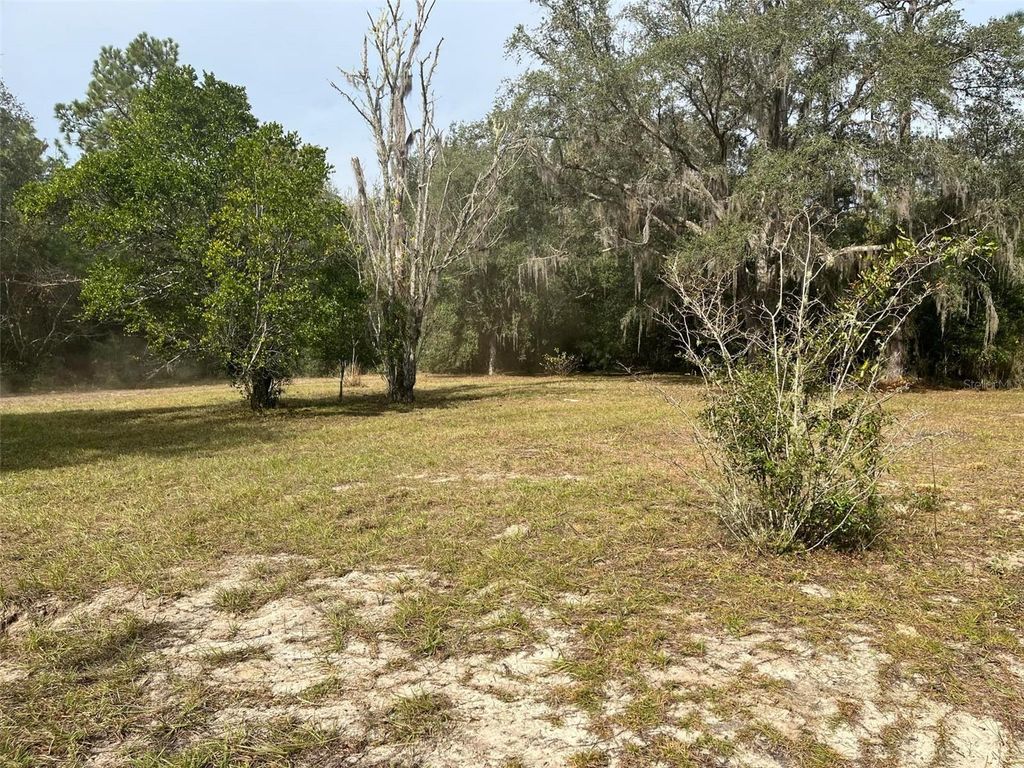 Photo of 110 Venezuela Street, Interlachen, FL 32148 (MLS # OM711112)