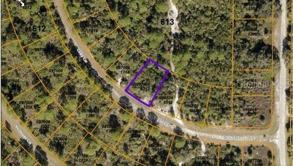 Photo of Cody Circle, North Port, FL 34291 (MLS # O6197535)