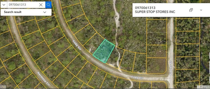 Vacant Residential 
Legal description as county site: LOT 13 BLK 613 14TH ADD TO PORT CHARLOTTE REPLAT
Note: buyers I emphasize the importance of conducting thorough due diligence to ensure that the property meets your expectations and requirements.
