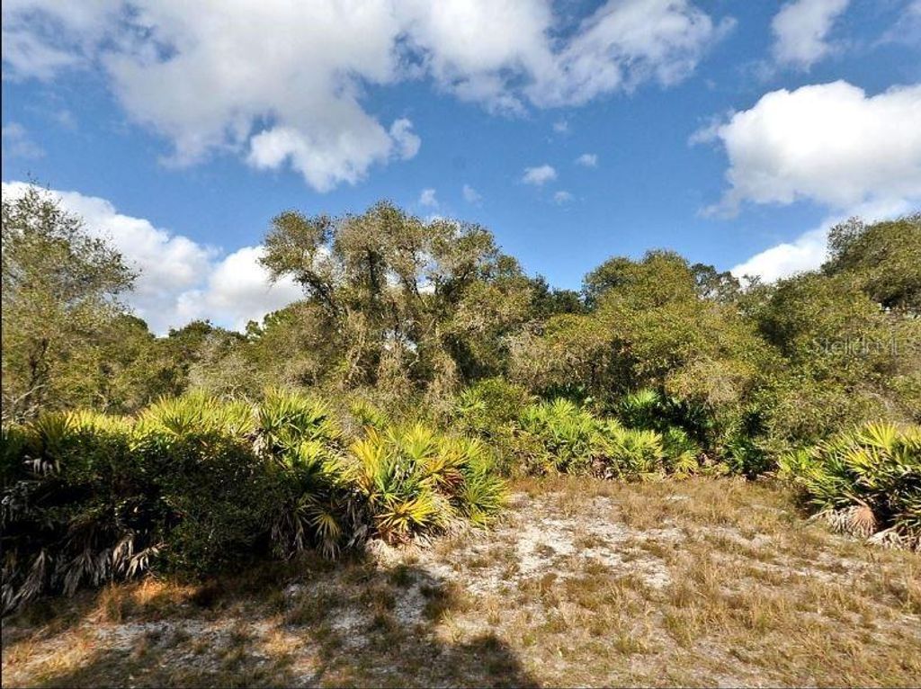 Photo of Cody Circle, North Port, FL 34291 (MLS # O6197535)