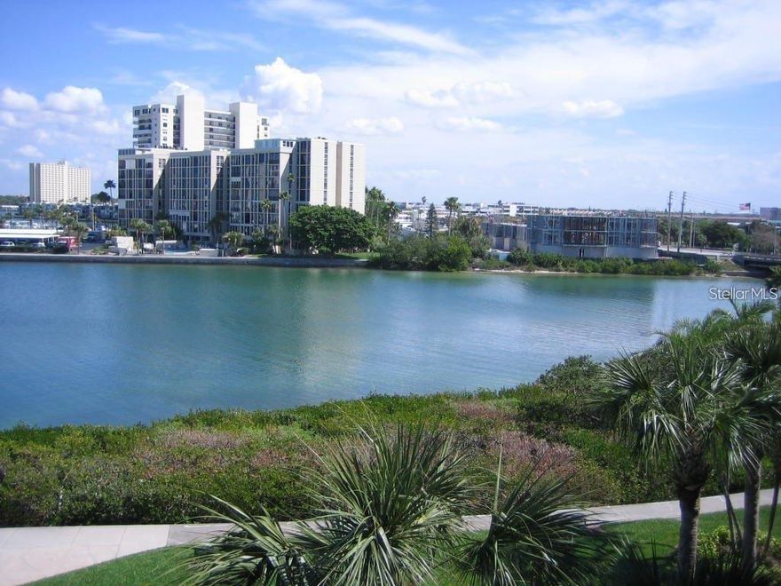 SUMMER RENTAL! Beautiful updated waterfront condo available May 1st through November 1st, 2026. Monthly rent is $2300.00 and includes basic cable, internet, water, sewer, trash and $75 credit towards electric each month. This 3rd Floor condo, end unit, has a beautiful glass enclosed balcony/florida room that offers additional living space. Tastefully decorated, light and bright condo, and is turn-key furnished, down to the linens and dishes. Master Bedroom has a king size bed, updated ensuite Master Bath with Tub and Shower, walk-in closet and a wonderful water view for you to enjoy as you awake each morning. Guest bedroom has a king size bed and updated bath with walk-in shower. Condo has an inside laundry closet with washer and dryer. Owners request Three months lease payment and deposit be paid In advance. Security deposit refund will be returned upon owners FINAL review of the property in December. Tenants are encouraged to leave condo in same condition as start of lease when they arrived or A Professional Cleaning fee will be deducted from the security deposit. Security deposit will be refunded upon owners return and final review of the unit in December of 2026. Harbourside is a highly desirable waterfront community with multiple pools, jacuzzi, BBQ grilling area, tennis courts with pickle ball and shuffleboard. The active Club house offers a full social agenda, Men and Women Saunas, fitness centers, Billiard room, card room, library, Wood working shop, Great room with fully equipped kitchen and a beautiful lobby to relax and visit with neighbors and friends. The car wash station is complete with vacuum and air. Harbourside has  car charging stations. Around the Island is a 1.5 mile trail to walk or jog as you enjoy sunrises or sunsets on the water. No boat slip with this unit. One assigned covered parking spot is included. Harbourside is minutes from the worlds top rated beaches, Downtown St Petersburg, Museums, Theatre, Restaurants, Shopping and access to I275. Sorry Management does NOT allow Tenants Pets and Smoking is NOT Permitted. Enjoy a summer of Resort Style Living at its best.
