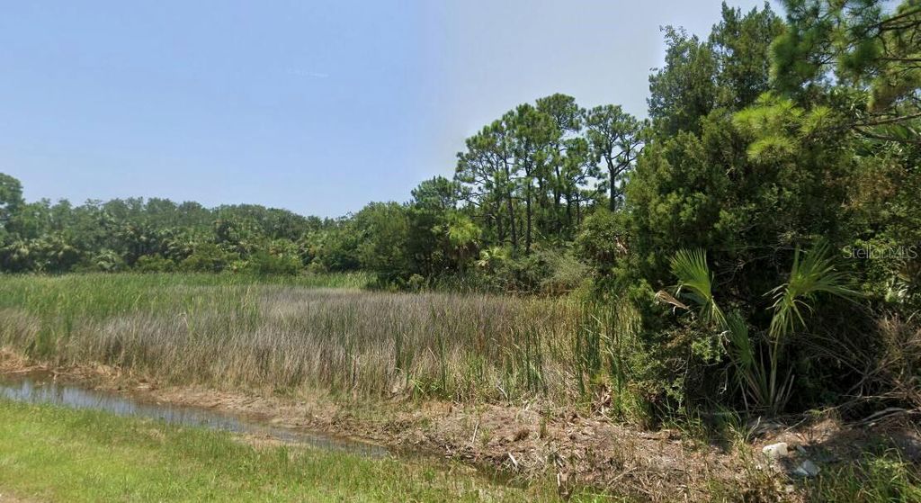 Photo of 456 E Pine Avenue, Eastpoint, FL 32328 (MLS # O6351618)