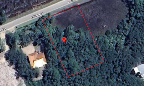 456 E PINE AVENUE EASTPOINT FL 32328