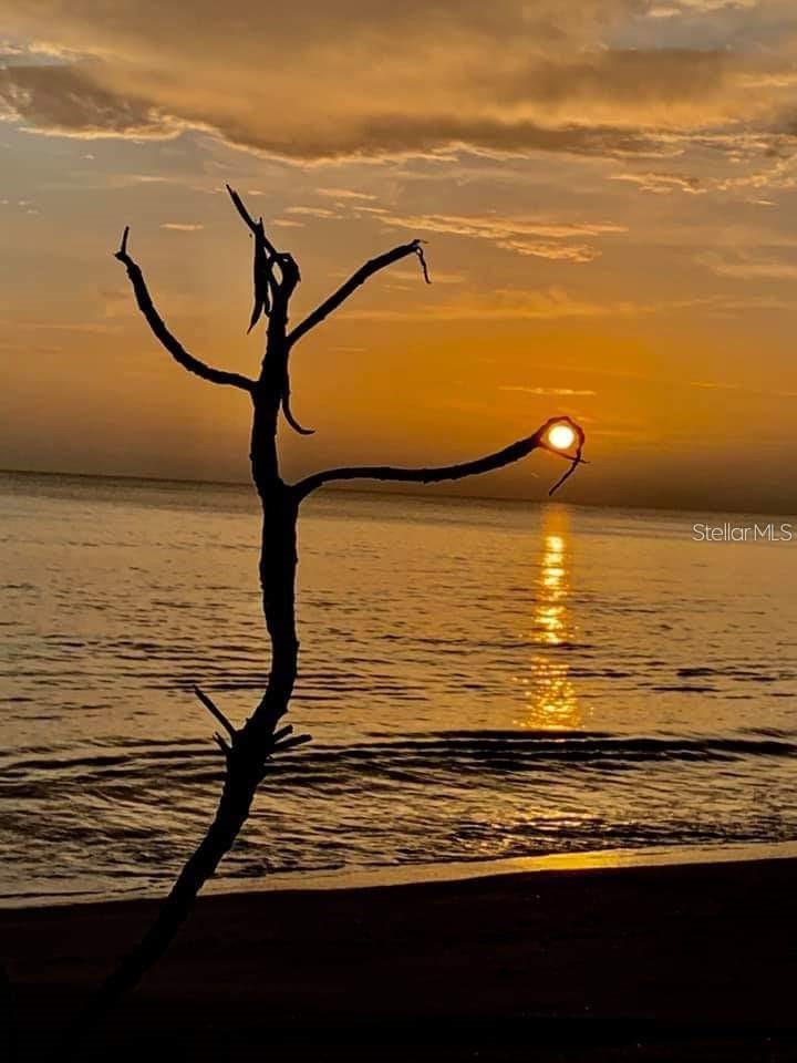 ISLANDWALK/THE WEST VLGS PH 5 - Residential Lease