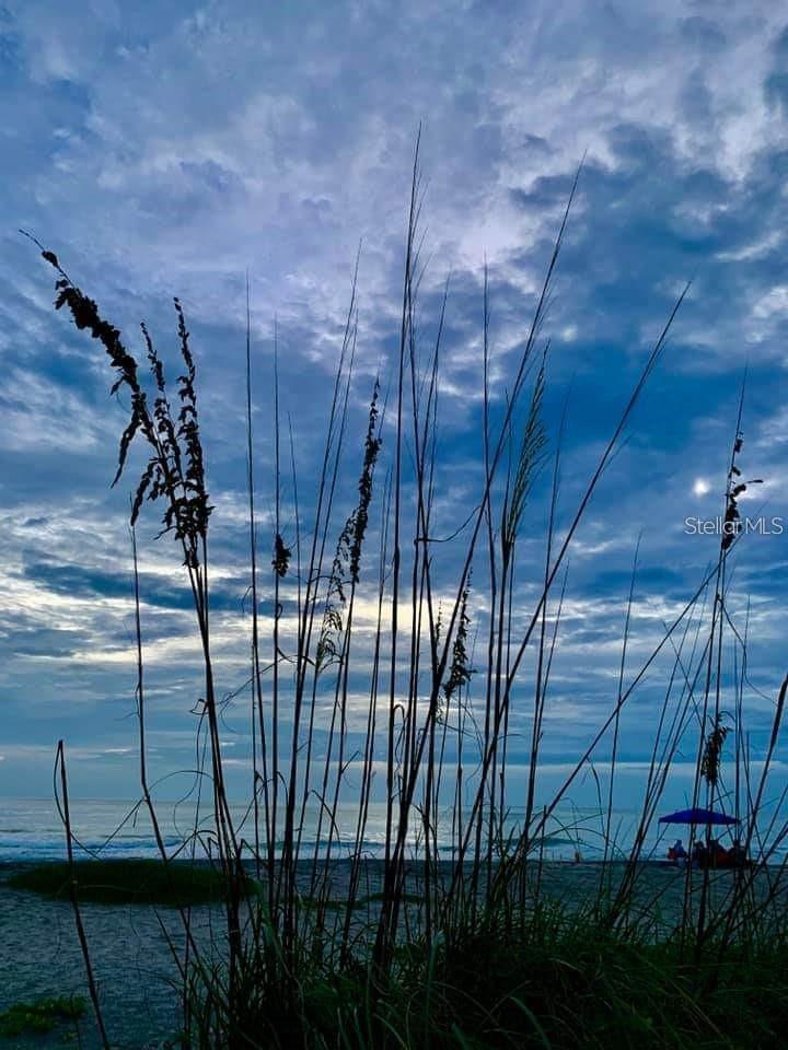 ISLANDWALK/THE WEST VLGS PH 5 - Residential Lease