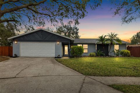 A home in VALRICO