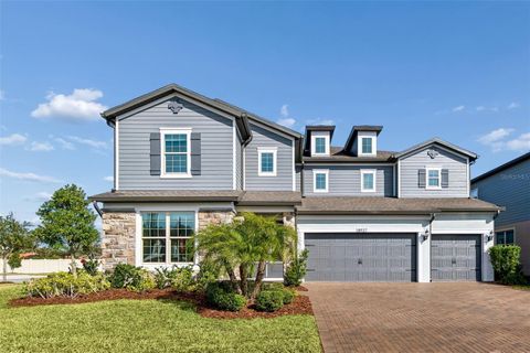 18937 WILLOWMORE CEDAR DRIVE LUTZ FL 33558