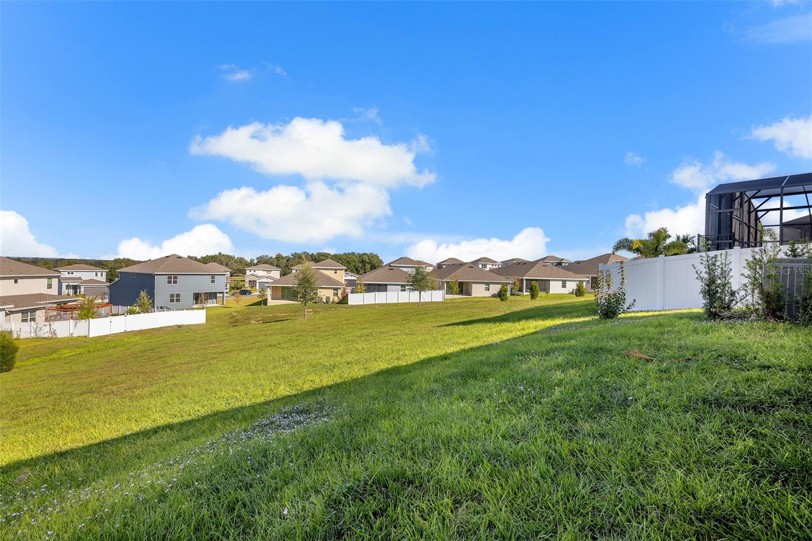 VILLAGES AT MINNEOLA HILLS PHASE 3 - Residential