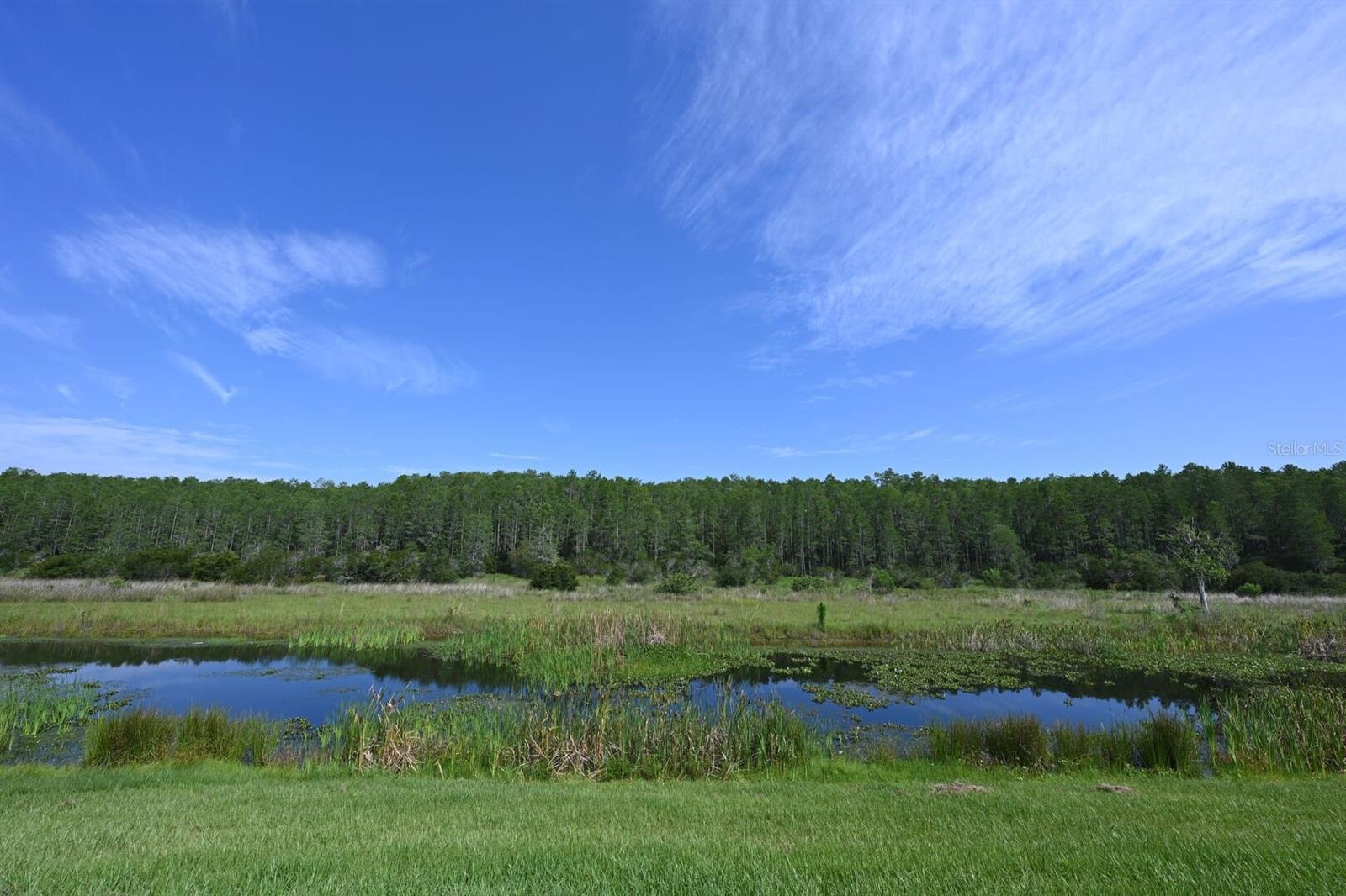COVE/STOREY LAKE IV - Residential