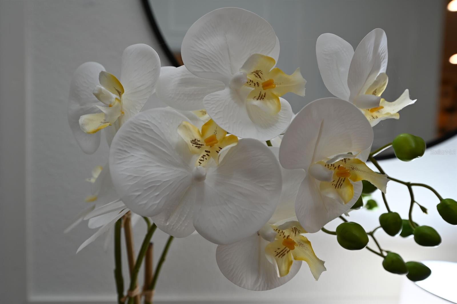 COVE/STOREY LAKE IV - Residential