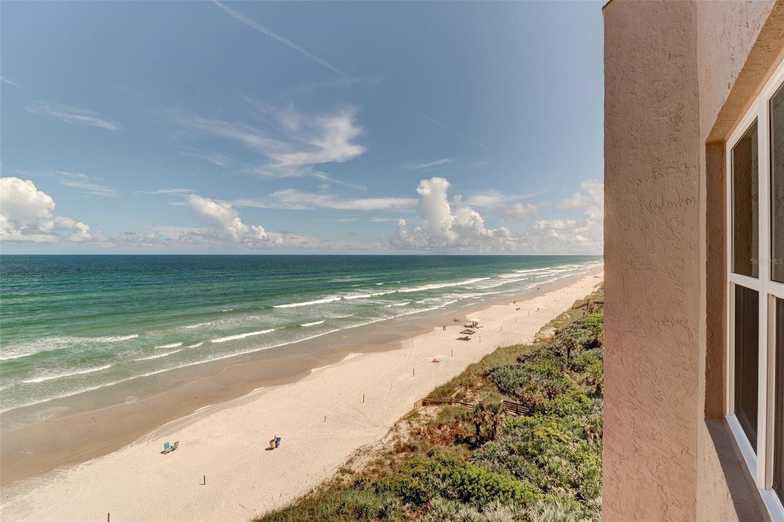 Palm House Condo - Residential