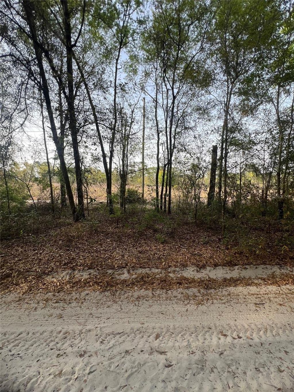Photo of Tbd SW 150 Street, Dunnellon, FL 34432 (MLS # OM697955)