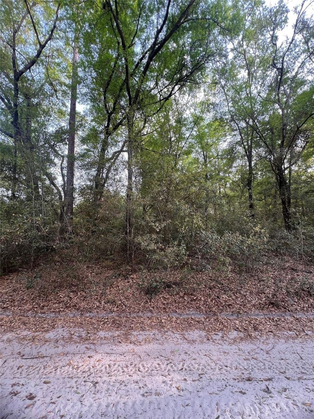 Photo of Tbd SW 150 Street, Dunnellon, FL 34432 (MLS # OM697955)