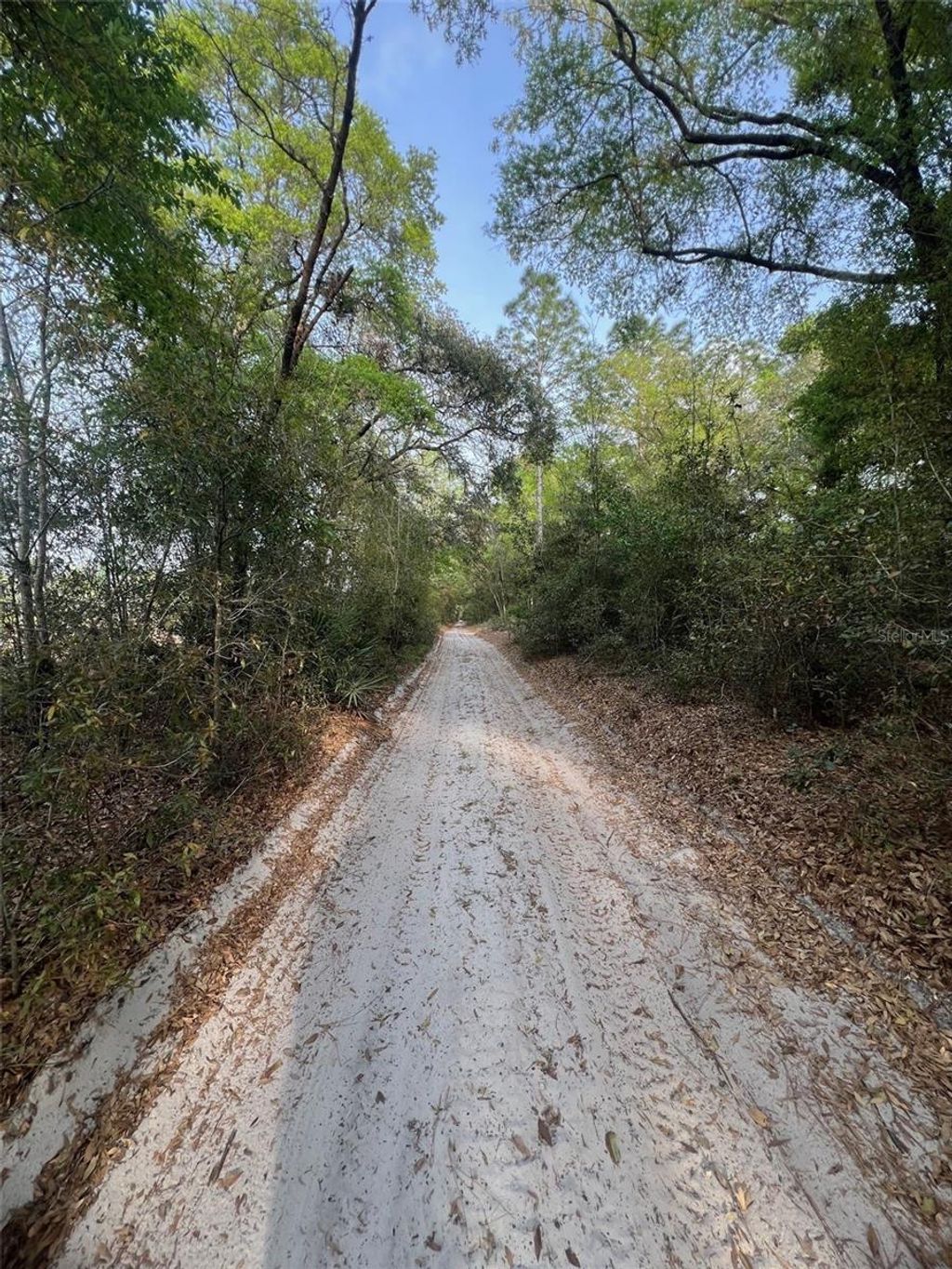 Photo of Tbd SW 150 Street, Dunnellon, FL 34432 (MLS # OM697955)