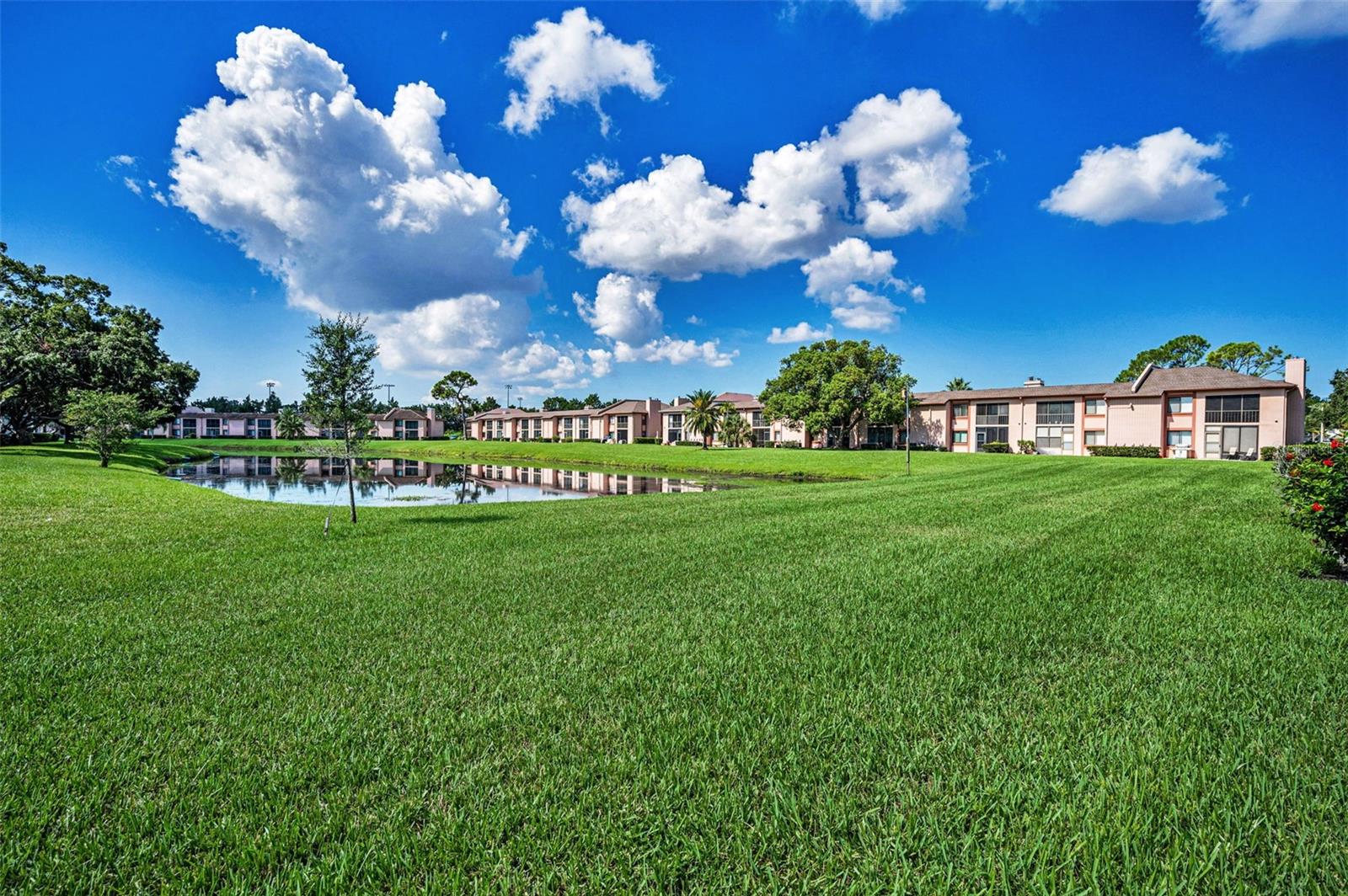 EAST LAKE WOODLANDS CONDO - Residential