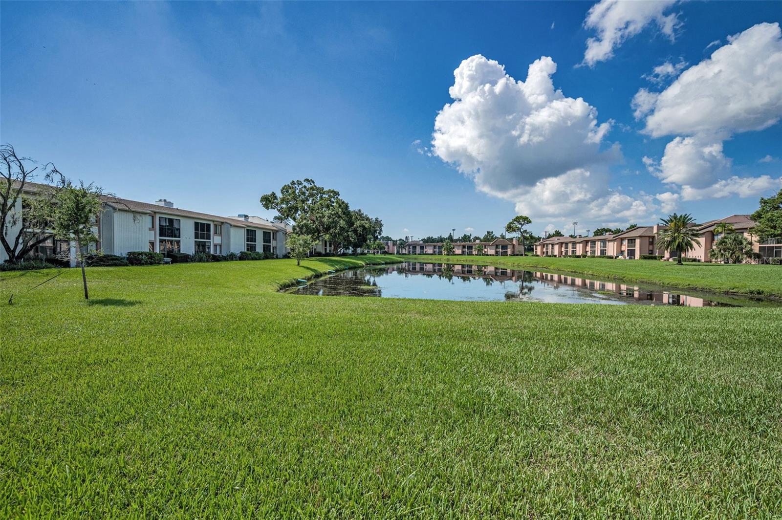 EAST LAKE WOODLANDS CONDO - Residential