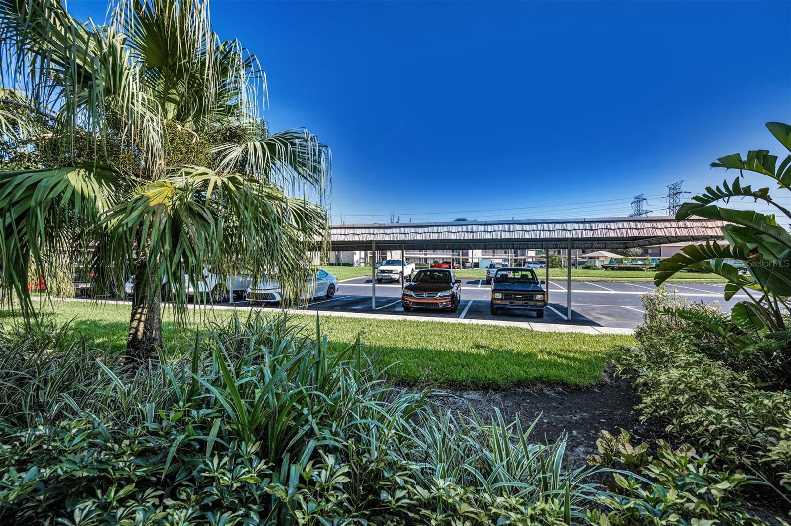 EAST LAKE WOODLANDS CONDO - Residential