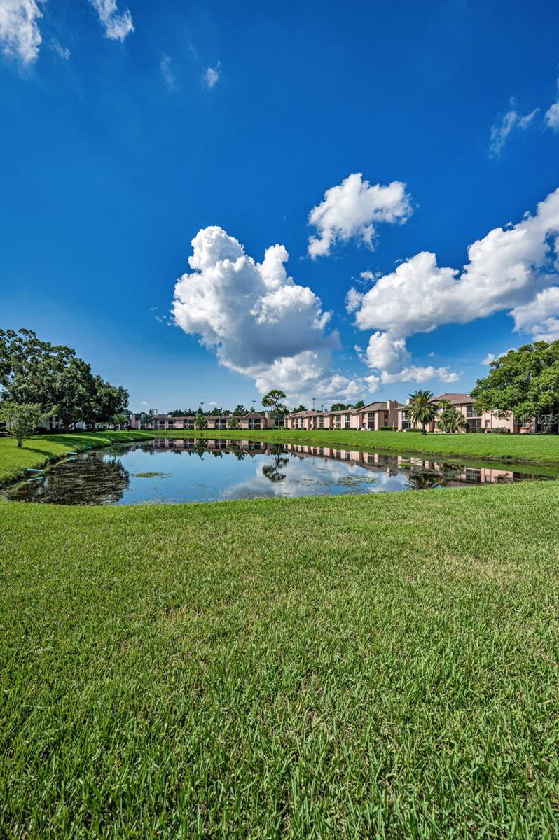 EAST LAKE WOODLANDS CONDO - Residential