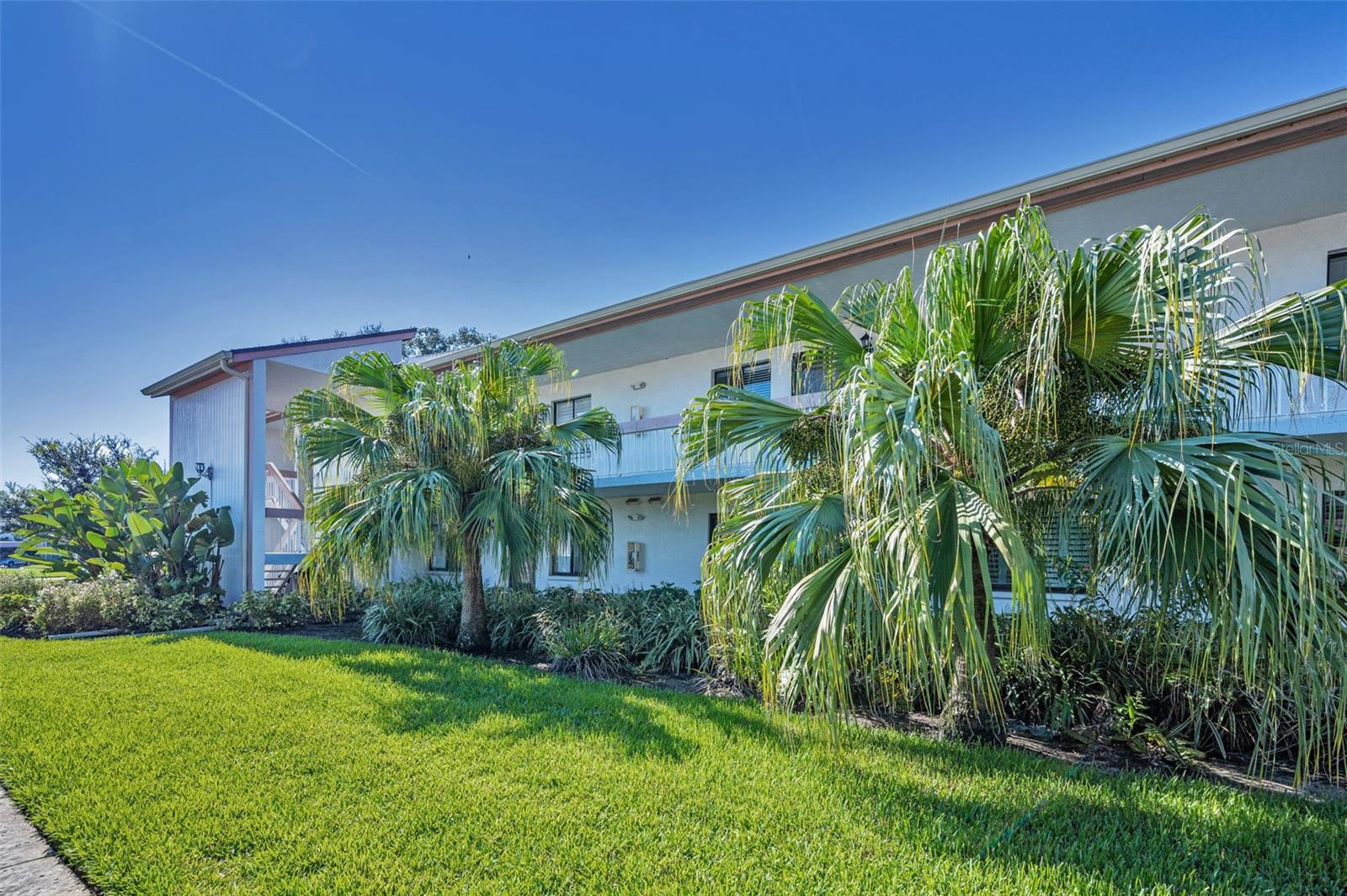 EAST LAKE WOODLANDS CONDO - Residential