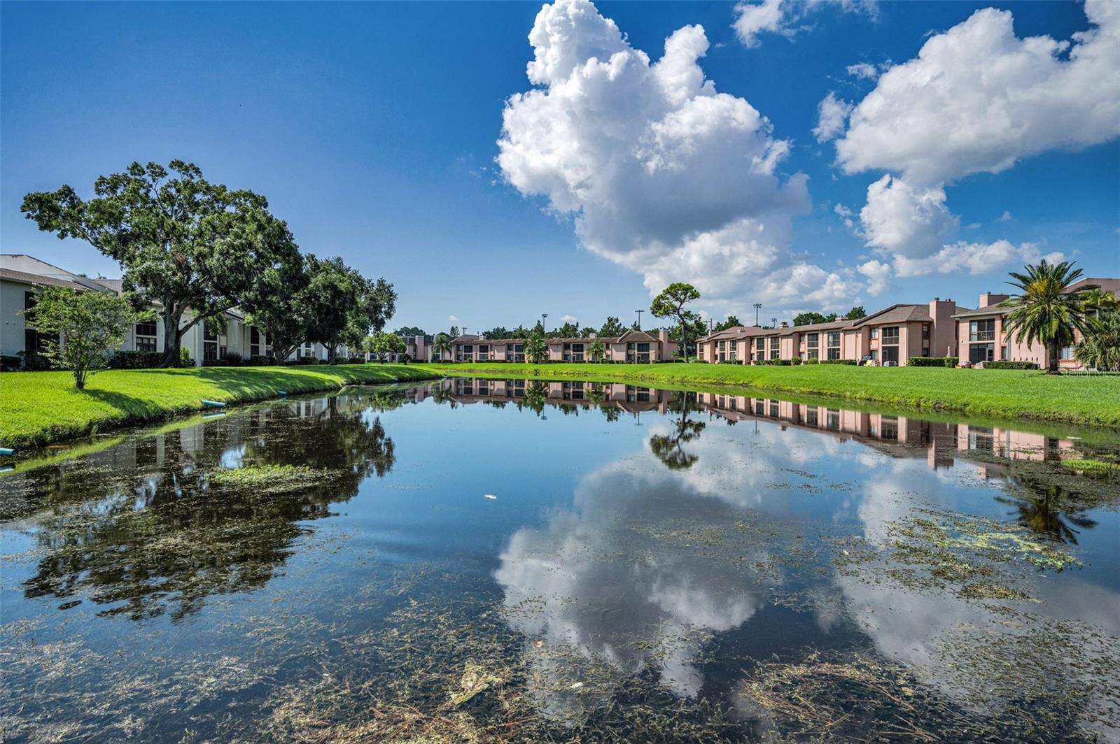 EAST LAKE WOODLANDS CONDO - Residential