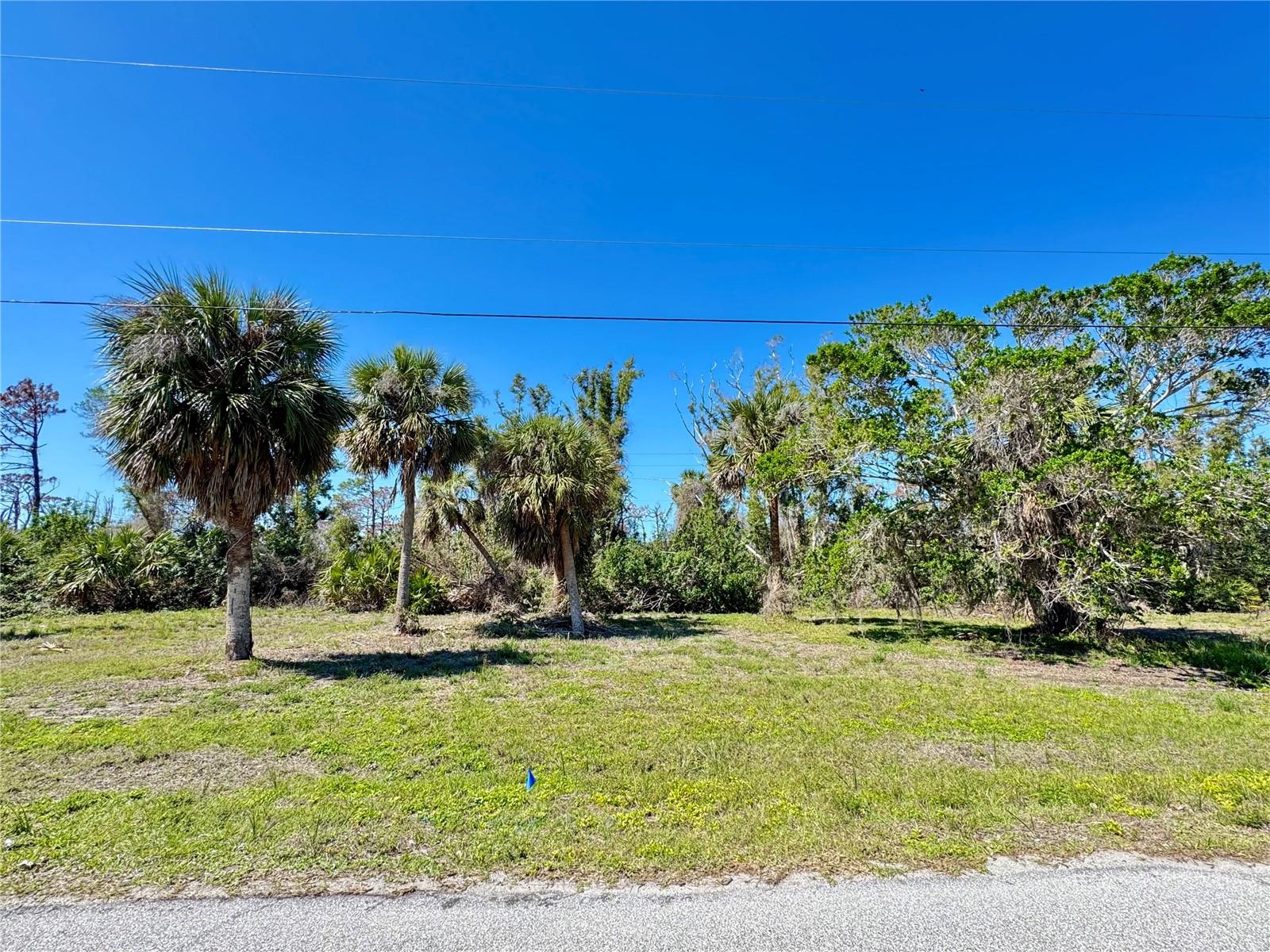 LOCATION! LOCATION! LOCATION!! Build your dream home in Cape Haze East. The location doesn’t get any better than this for this price. 4 minutes to Placida Boat ramp. Minutes to Boca Grande, sugar sand beaches, crystal clear blue water and world class fishing. Enjoy true Florida living; Hiking, biking, hunting, swimming, shelling, boating, fishing, bird watching, and beyond. Let this dream become your reality! Stop browsing and buy this one before it's gone!!! Now is the time to build your dream home or invest in your future! Opportunity rarely presents itself like this and when it does timing is everything! Don't let this rare opportunity pass you by!!